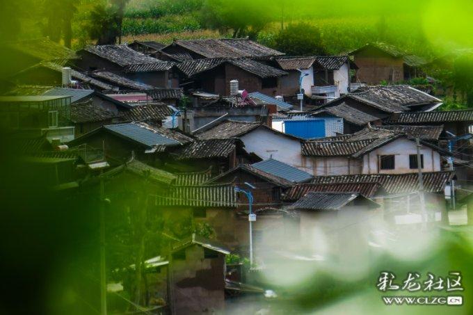 hahabet官网官方入口