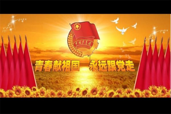 了解素菜丸子怎么做的专业知识星球平台