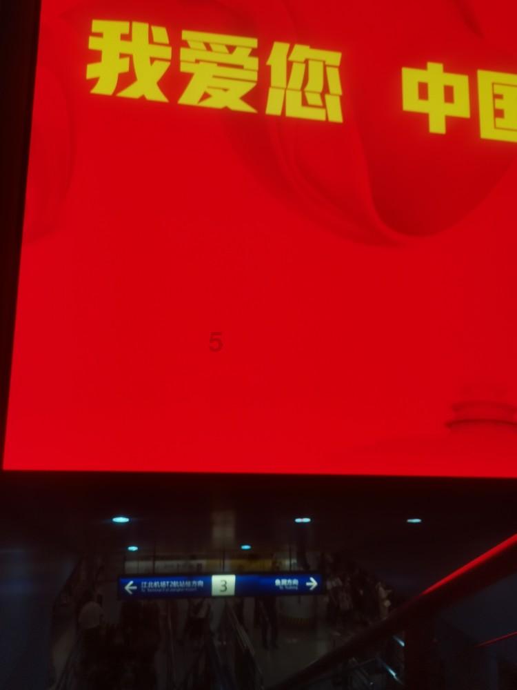虫虫助手下载
